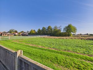 Open Field Views- click for photo gallery